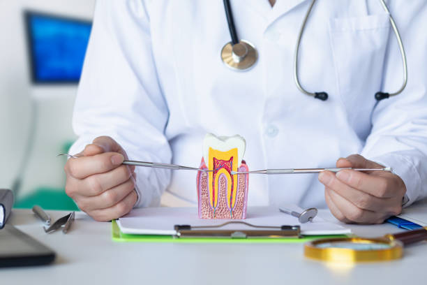 Best Urgent Care for Lost Fillings or Crowns in Southern Shops, SC